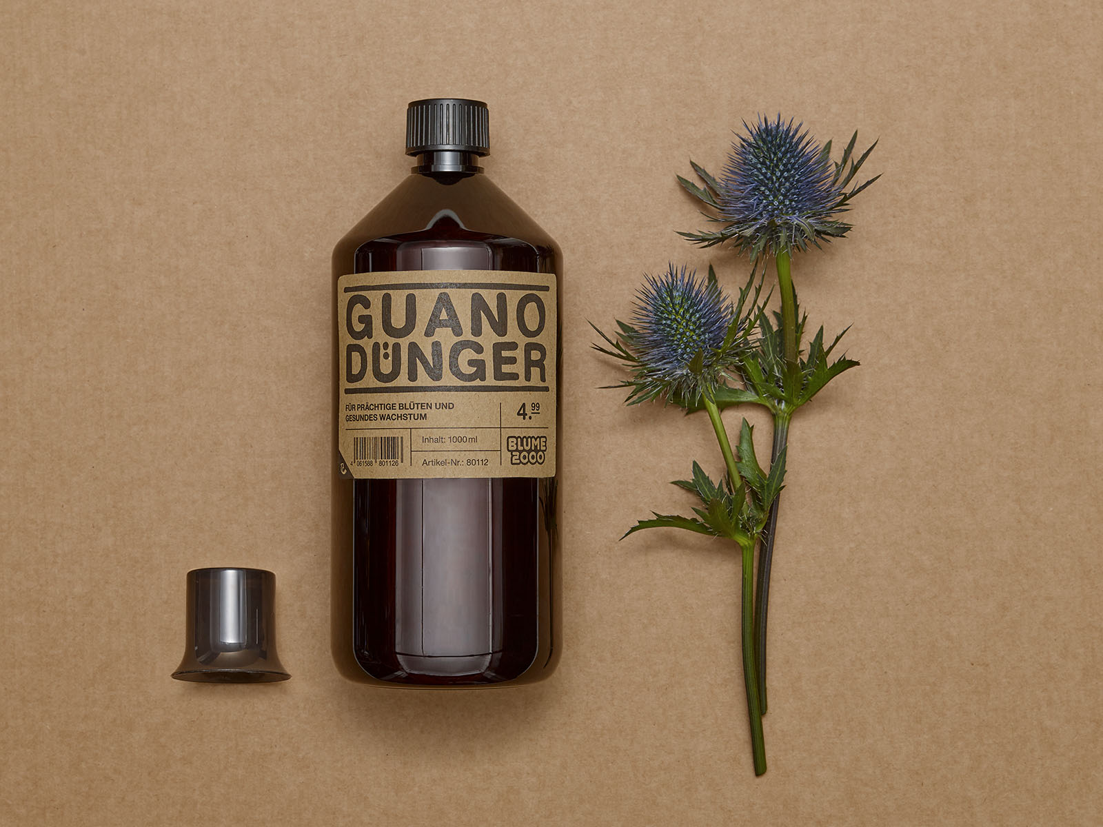 Blume 2000 - Dnger - Studio Oeding